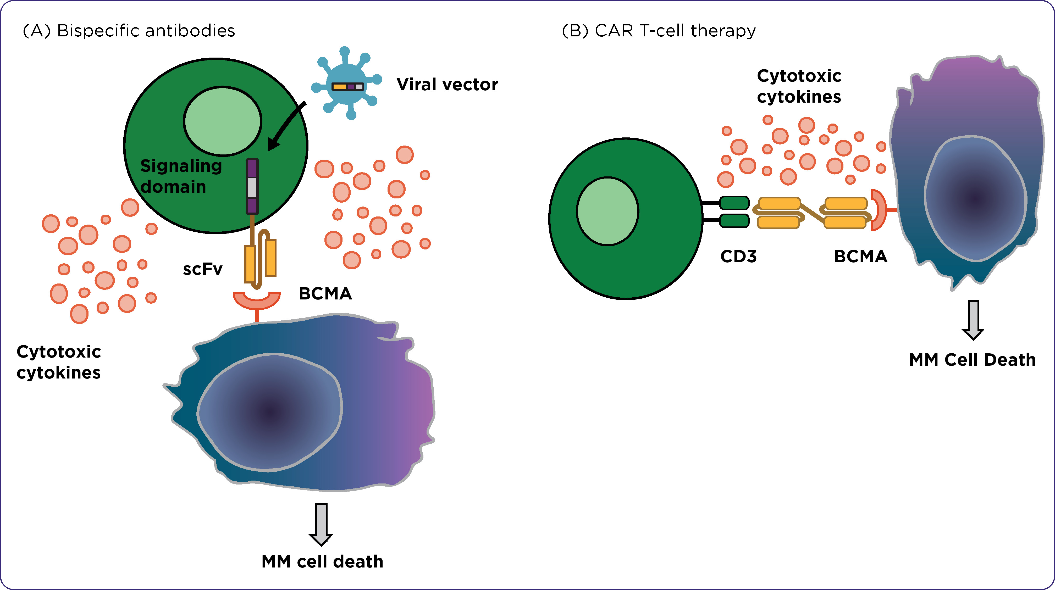 Multiple Myeloma